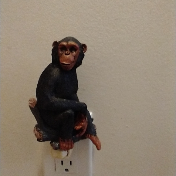 Unique Night Lights - Picture 9 of 14